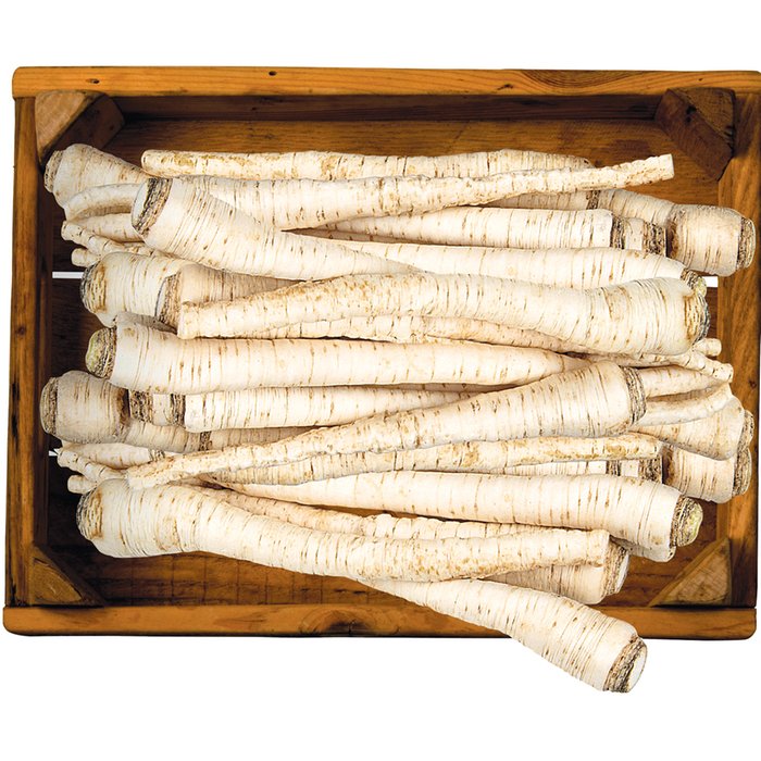 PETREZSELYEMGYÖKÉR