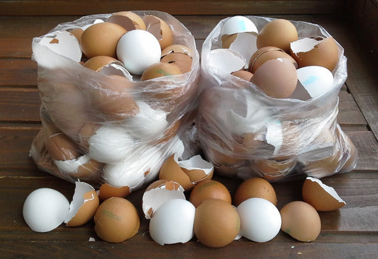 Tojáshéj: Praktikus Újrahasznosítás a Környezettudatos Háztartásban