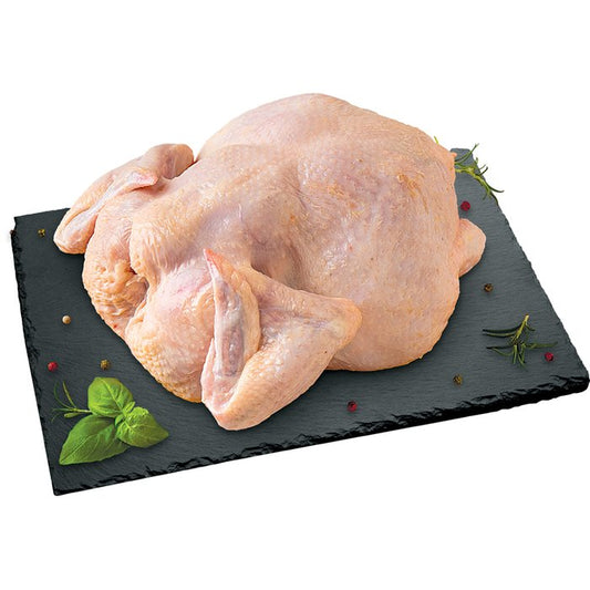 GMO MENTES EGÉSZ CSIRKE